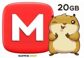 Mega ▪︎ 20GB ▪︎ Secret Key + Mail included