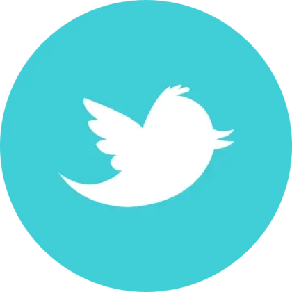 500+ Followers 2010-2020 Old Account Twitter Account. AUTH TOKEN. CT0