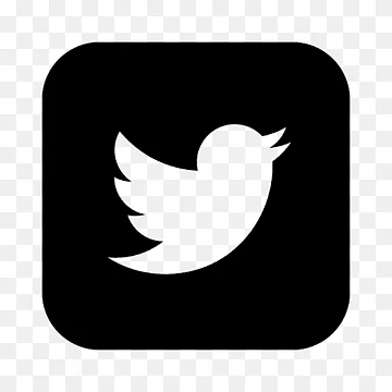 Twitter Aged 2011-2019 0+ Followers + Auth_token + 2FA