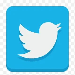 5 months old Twitter account with mail verify