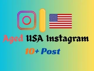 ✅Взрослый Instagram ✅США 6+ месяцев ✅ 10 постов ✅