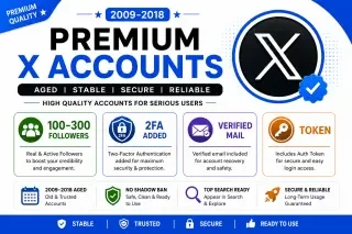 🚀 Configuração Premium de Perfil X | Preferência 2009–2018 | Meta de 100–300 Seguidores | Suporte a 2FA e E-mail Verificado