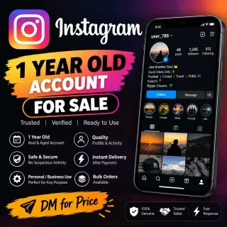 Instagram 2025 1 年账号
